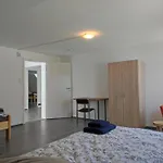 S-21-appartements A8 Stuttgart A8 Ulm Muenchen Mit 3 Bis 4 Einzelzimmer Мерклинген